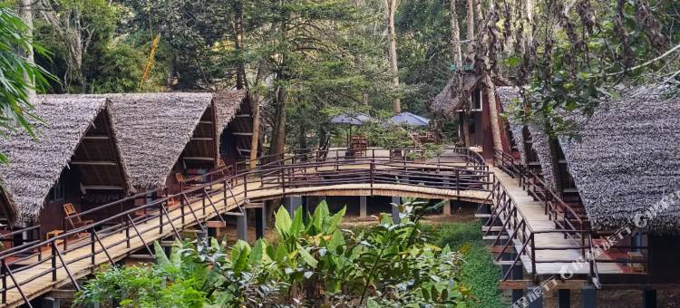 焕颜草生态营地酒店(Longoza Ecolodge)图片