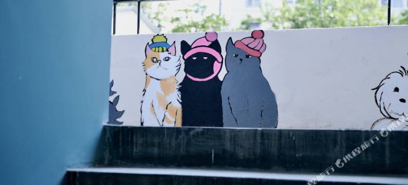 青岛鲸途国际青年旅舍(君峰路地铁站店)图片