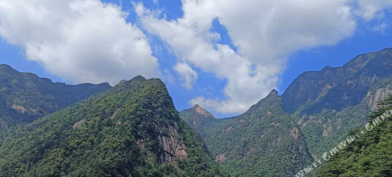 漫山居民宿图片