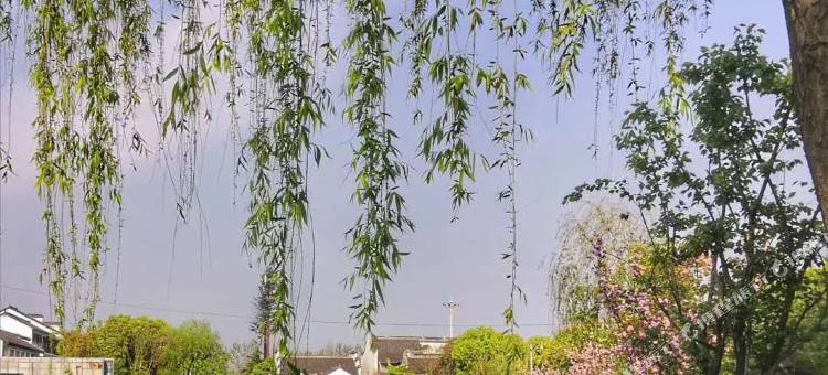 久栖·西塘栢菲艺术酒店图片