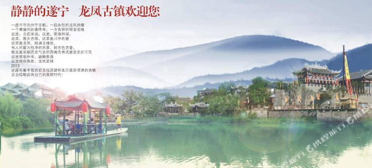 纵横假日大酒店(遂宁物流港店)图片