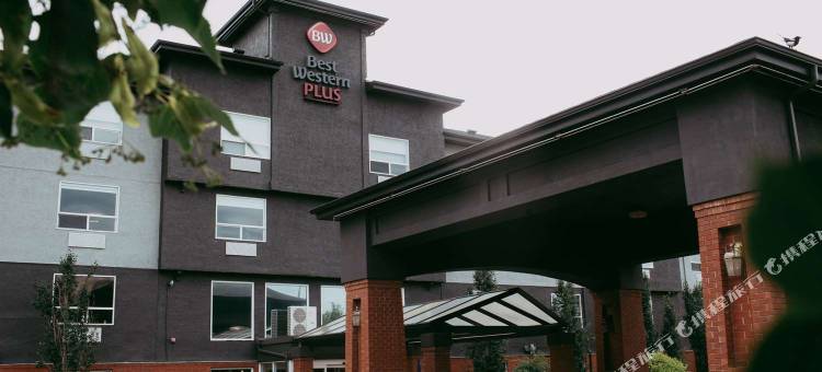 Best Western Plus West Edmonton图片