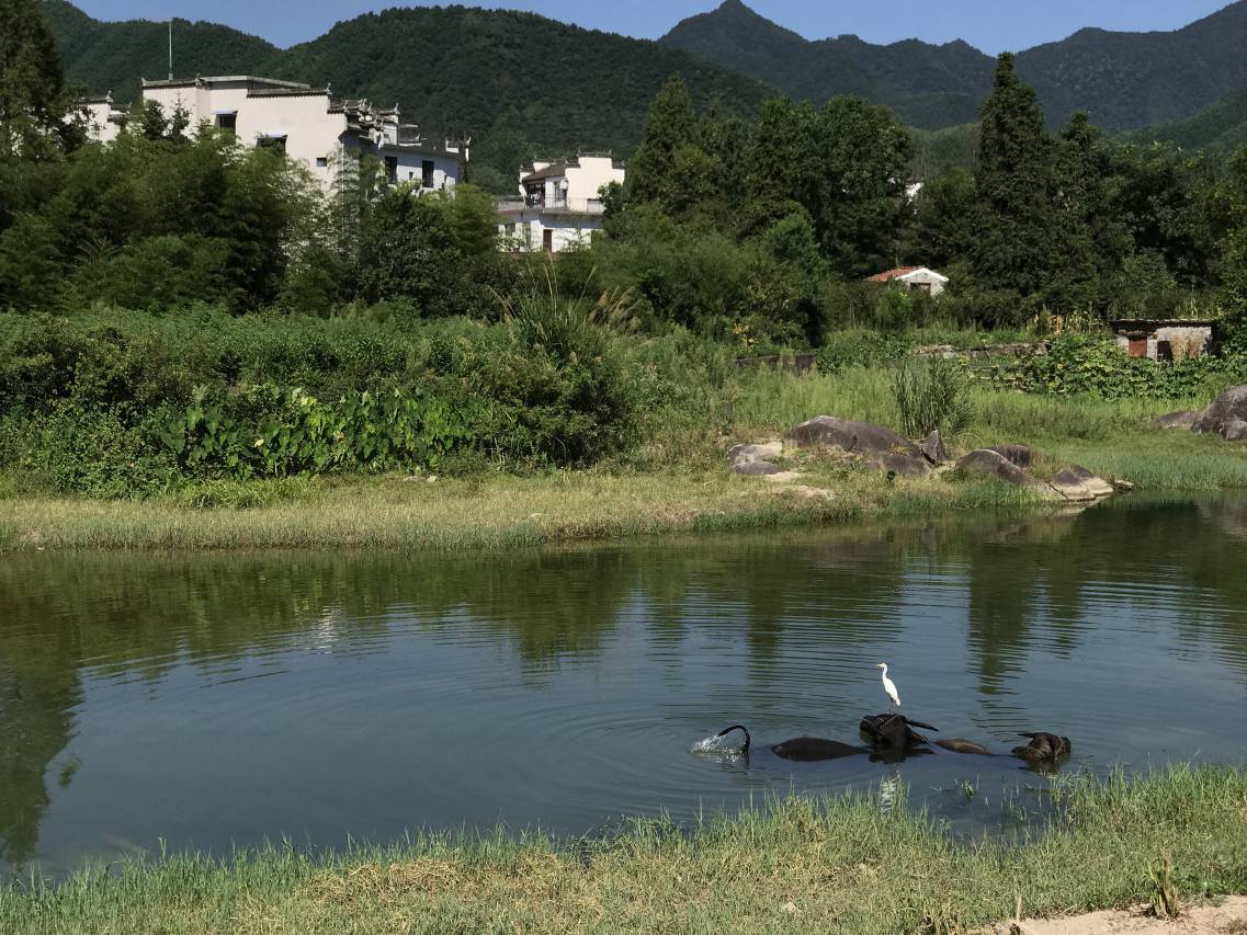 花筑·宏村来燕堂民宿图片