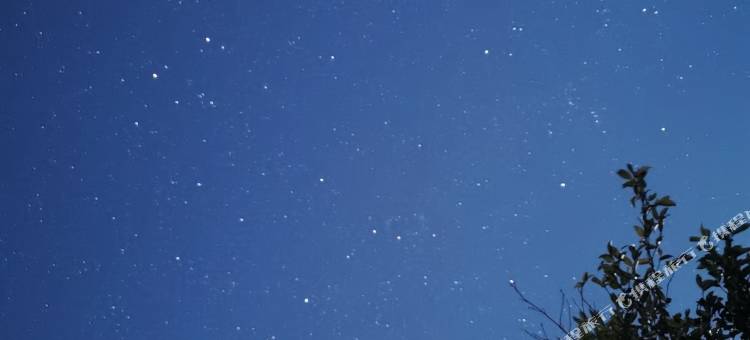 依山半舍民宿(松阳陈家铺村店)图片