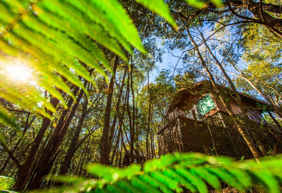 Red Panda Manor Pu’re Hotel Overview