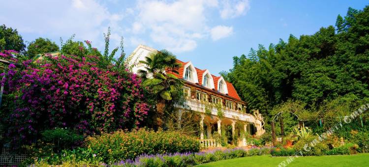 三棵树庄园图片