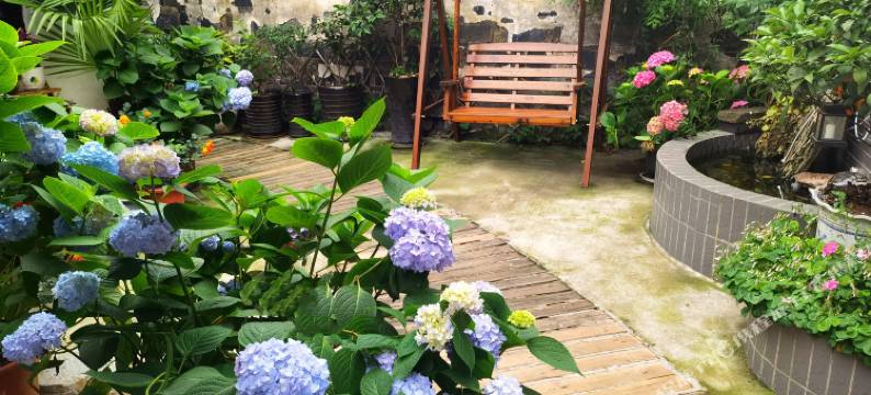 西塘古云轩庭院酒店图片