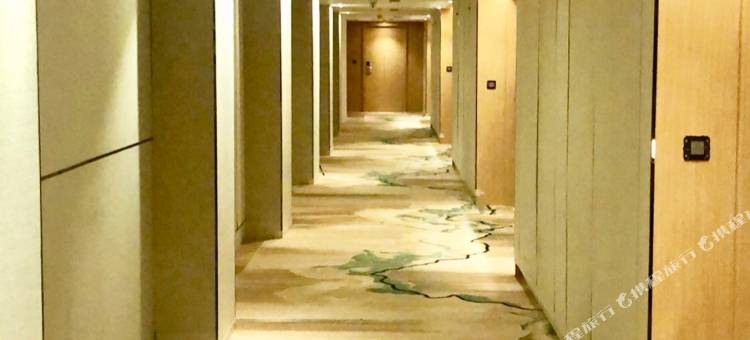 执政者酒店(The Regnant)图片