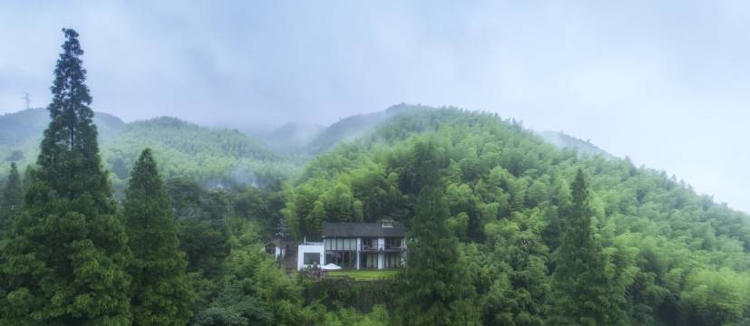 大乐之野(莫干山碧坞店)图片