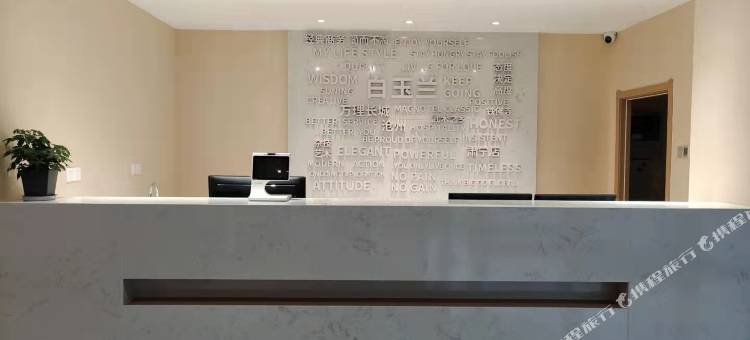 白玉兰酒店(肃宁九龙柱店)图片
