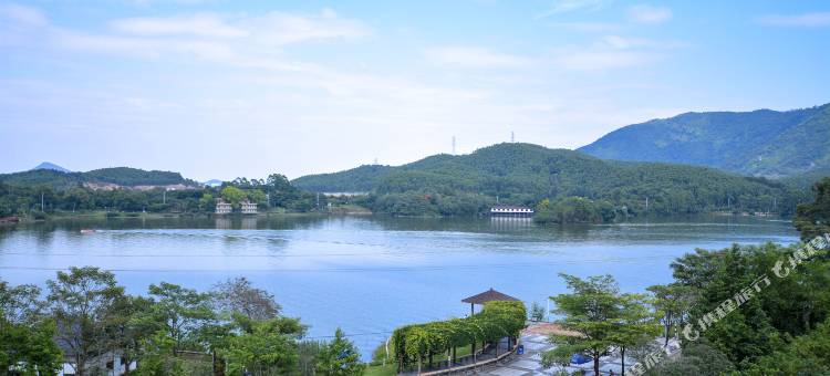 鼎麓研学基地民宿(江门植物园店)图片