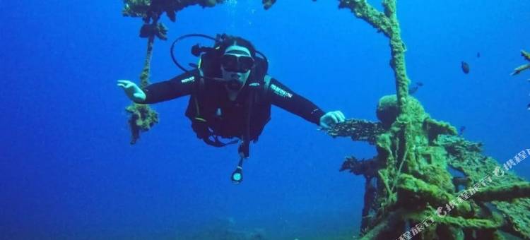 卢克索特阿卡巴海滩度假村及水疗中心仅限15岁以上(Luxotel Aqaba Beach Resort & Spa Only 15 Years Plus)图片