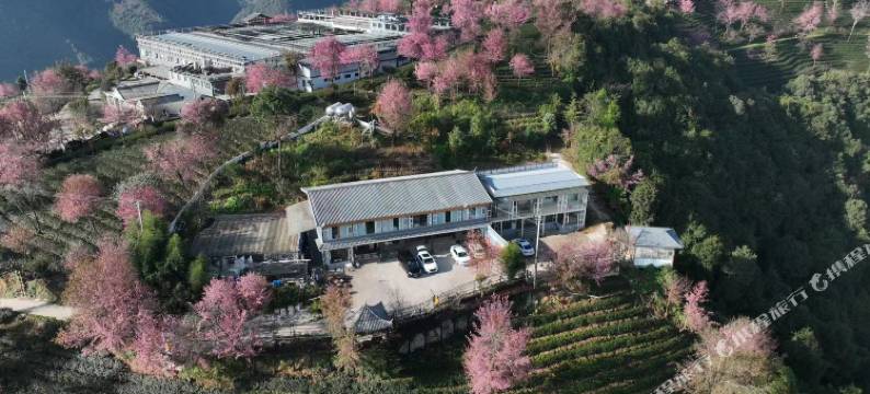 樱花谷摄影之家客栈图片