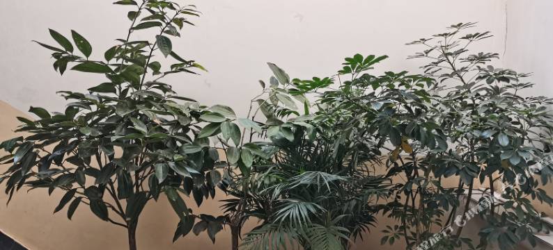 芮城光明宾馆图片