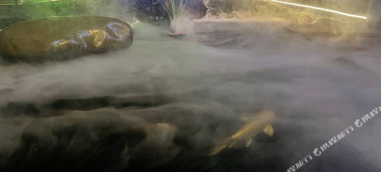 武夷山云栖山宿(三姑度假区店)图片