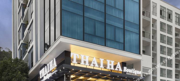泰哈精品酒店(Thai Ha Boutique Hotel)图片