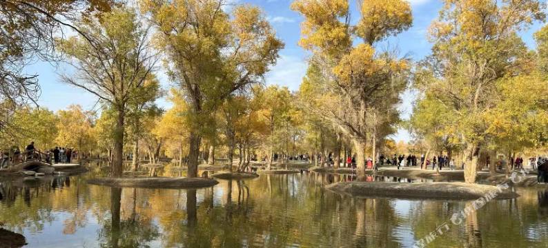 高度青年长租房(八一广场地铁站店)图片