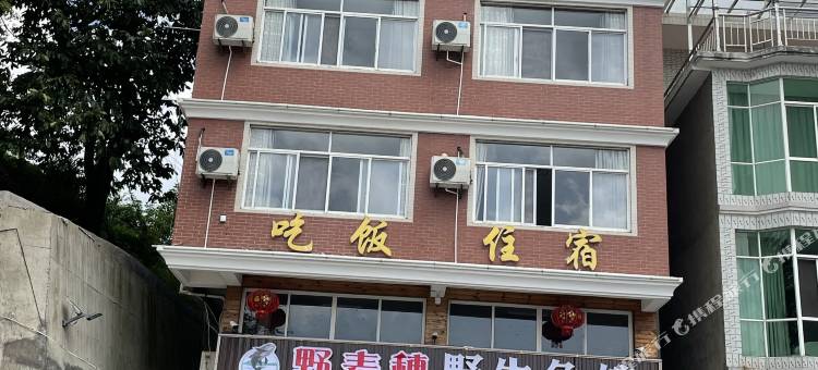 千岛湖野麦穗民宿图片
