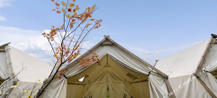 北极村俄罗斯人家图片