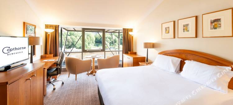 纽卡斯尔国敦酒店(Copthorne Hotel Newcastle)图片