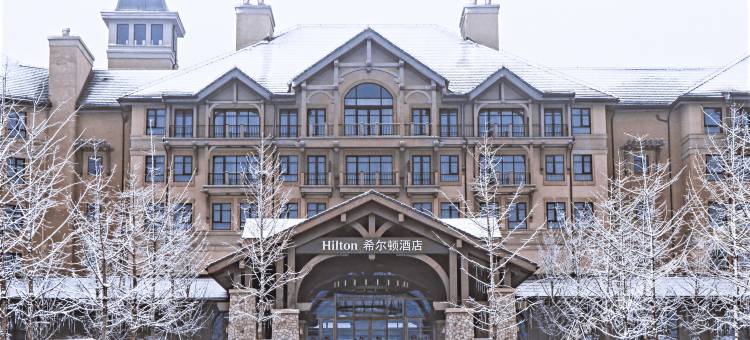 文安鲁能希尔顿酒店图片