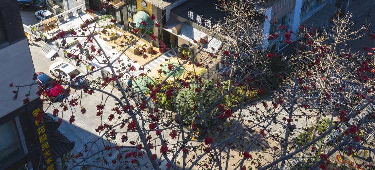 漫龟酒店(攀枝花公园店)图片