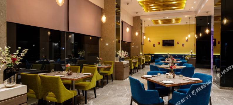 卡基纳达斯文斯卡设计酒店(Svenska Design Hotel Kakinada)图片