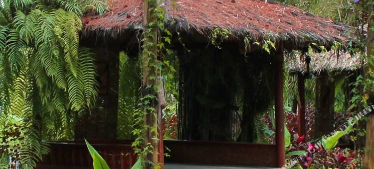 辛当瑞瑞特奇科勒(Sindang Reret Cikole)图片