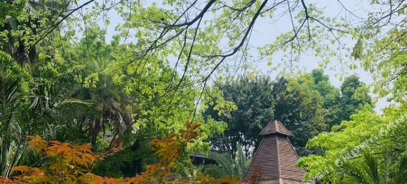 成都璞悦酒店(成都西站店)图片