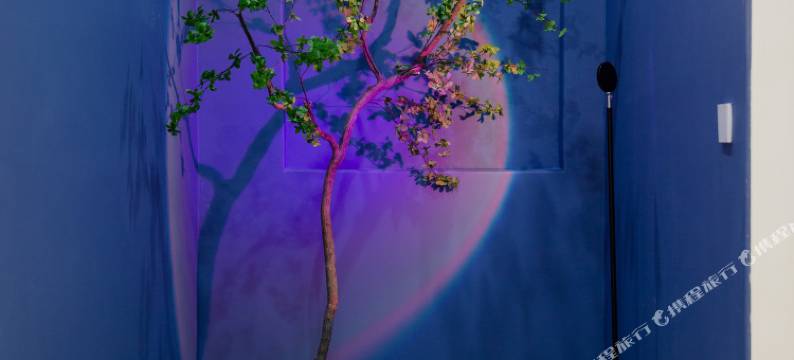 浅境设计美宿(丽江古城店)图片