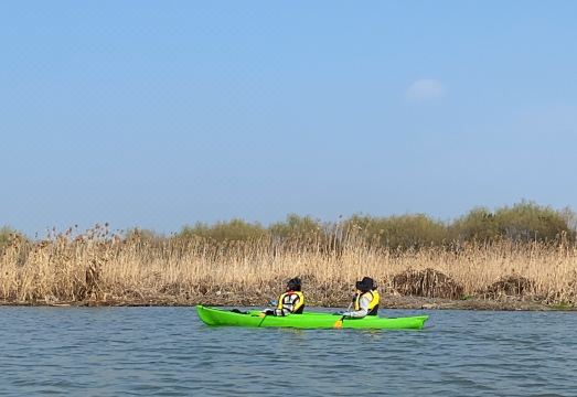 Greenhouse House innHotel Overview