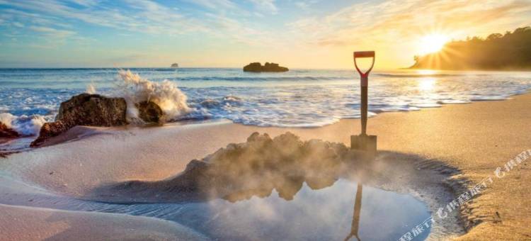 科罗曼德贝壳海滩TOP 10度假公园(Coromandel Shelly Beach Top 10 Holiday Park)图片