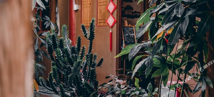 朴鲤别苑(泉州开元寺)图片