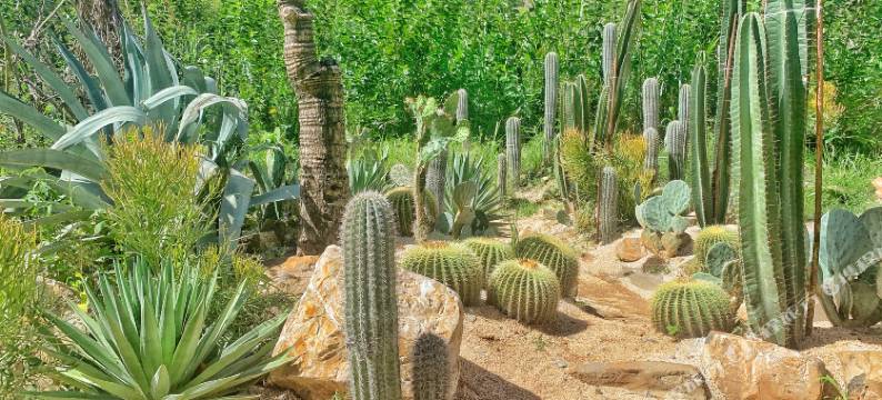 La Sera Suites An Vien图片