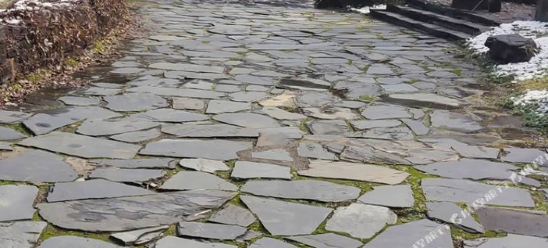 一览花海民宿(婺源思溪延村店)图片