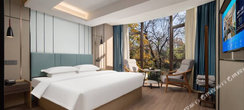 海悦庭院民宿(杭州西湖店)图片