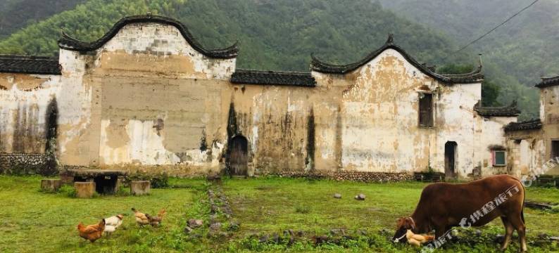 龙泉秀水雅居民宿图片