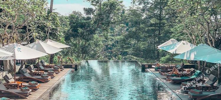 玛雅乌布度假村(Maya Ubud Resort & Spa)图片