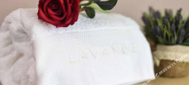 麗枫酒店(广州同和南方医院南方医科大学店)图片