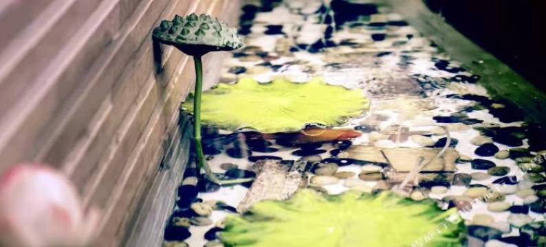 春夏秋冬大酒店(靖边长城路政府广场店)图片