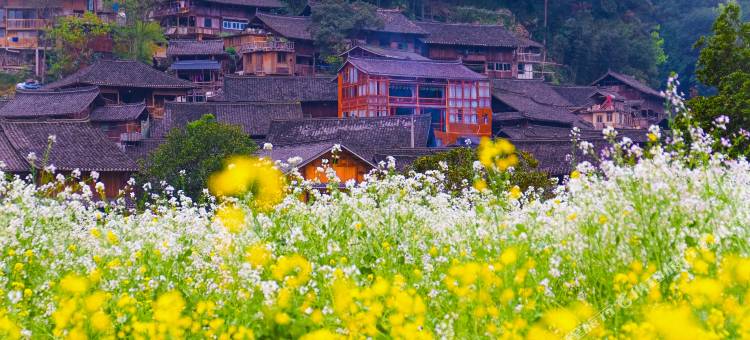 雷山郎德故事民宿图片