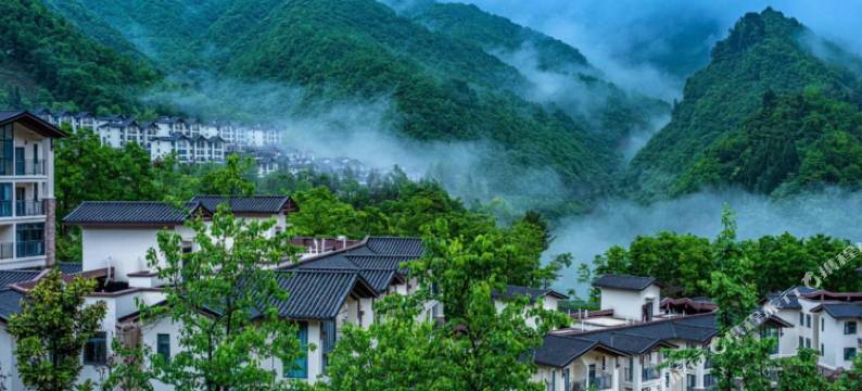 神农架阿尔卡迪亚森林酒店图片