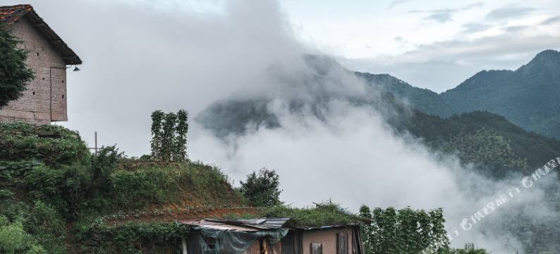 山抹微云民宿(松阳陈家铺店)图片