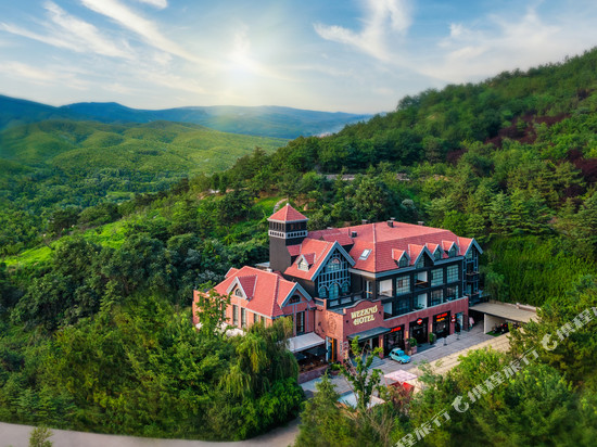 忙碌的考拉·Weeknd Hotel