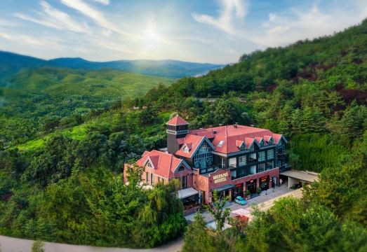 忙碌的考拉·Weeknd Hotel外景图