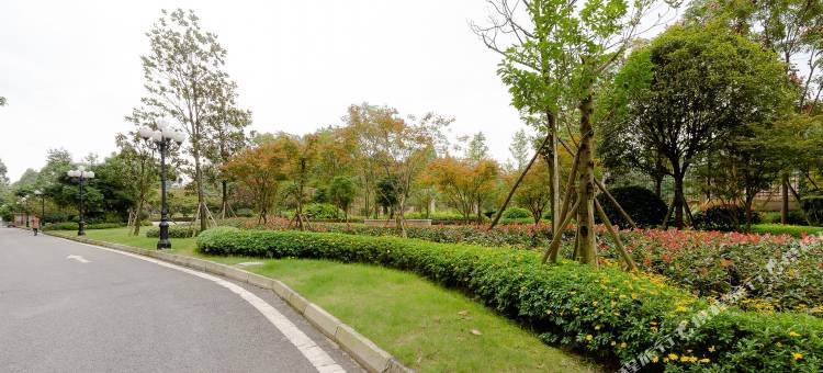 眉山黄龙溪恒大金碧天下麦子民宿图片