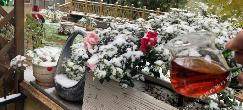 昆明玖宿客栈图片