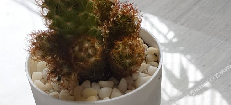 荥经万老四农庄图片