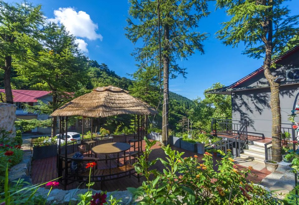 Bird's nestOver view