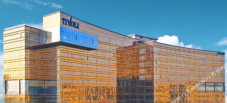 成都非遗博览园缇沃丽酒店图片